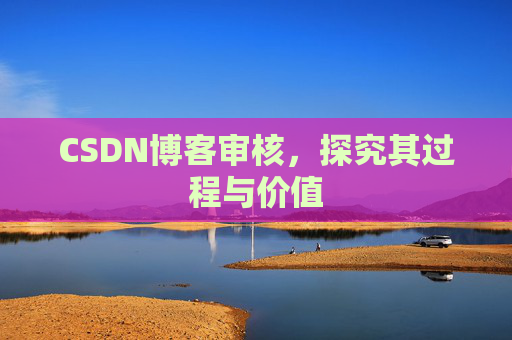 CSDN博客审核，探究其过程与价值